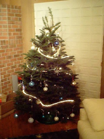 tree