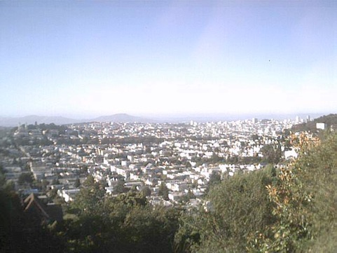 view